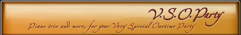 V.S.O.Party :: Piano trio and more, for your Very Special One-time Party